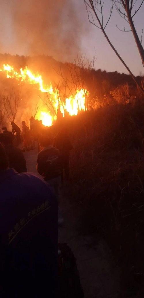 狮子山爆料视频最新版在线观看 第3张 狮子山爆料视频最新版在线观看 第3张